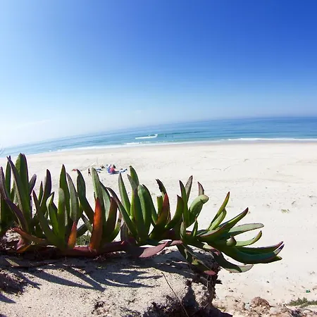 Хостел Oporto Surf Camp Эшмориш