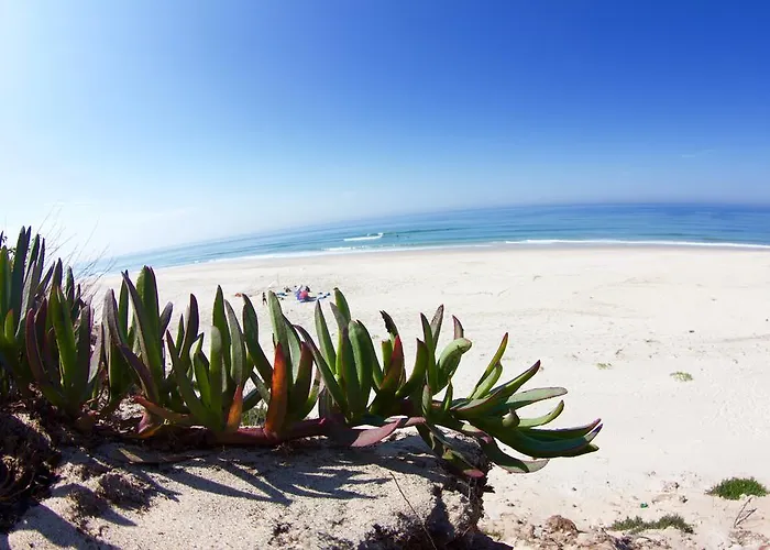 Хостел Oporto Surf Camp Эшмориш