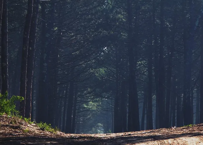 Хостел Oporto Surf Camp