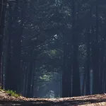 Hostel Oporto Surf Camp