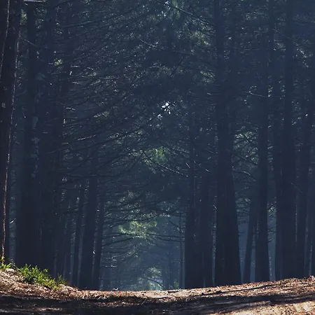 Ostello Oporto Surf Camp