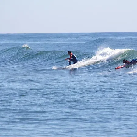 Oporto Surf Camp Hostel
